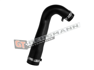 GT BERGMANN GT52-892 EAN: 5907764532653.