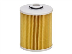 HENGST FILTER E490KP D484