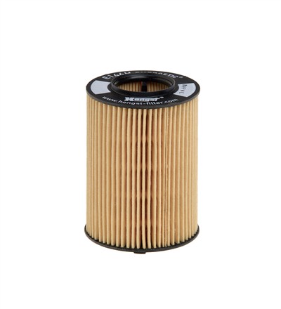 HENGST FILTER E146H D108 Číslo výrobce: 1023130000. EAN: 4030776010824.