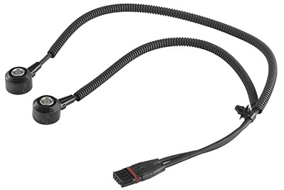 VDO A2C59517063 EAN: 4103590664815.