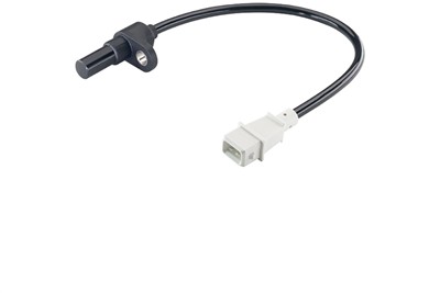 VDO S102460001Z EAN: 4103590906311.