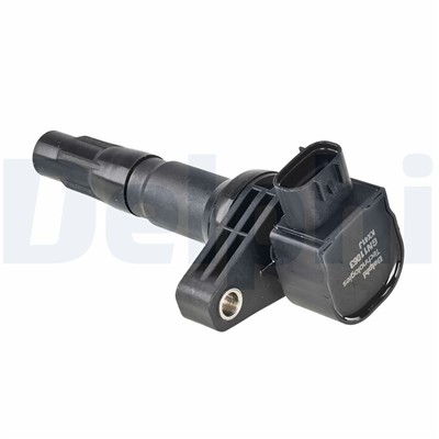 DELPHI GN11063-12B1 EAN: 5012759667217.