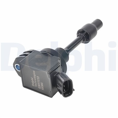DELPHI GN11113-12B1 EAN: 5012759598979.