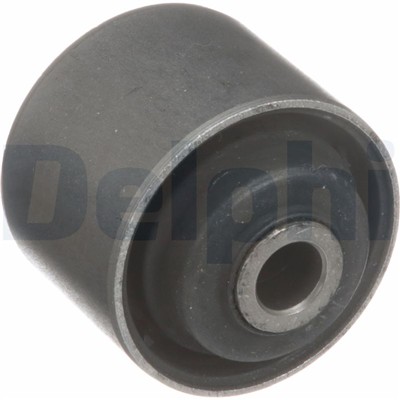 DELPHI TD5569W