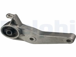 DELPHI TEM055