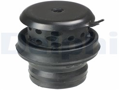 DELPHI TEM058