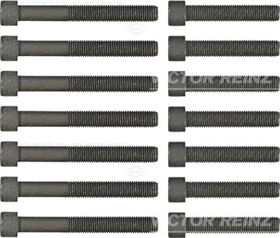 VICTOR REINZ 14-32039-02 EAN: 4026634011768.