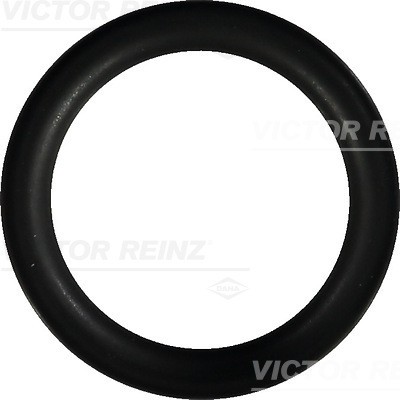 VICTOR REINZ 40-76246-00 EAN: 4026634355626.