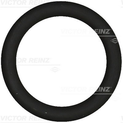 VICTOR REINZ 40-76919-00 EAN: 4026634323748.