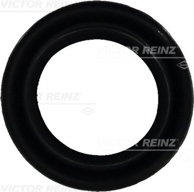 VICTOR REINZ 71-25876-00 EAN: 4026634122228.