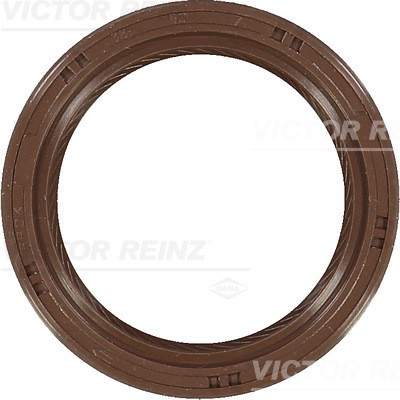 VICTOR REINZ 81-53231-00 EAN: 4026634312124.