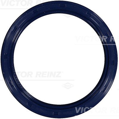 VICTOR REINZ 81-53319-10 EAN: 4026635208877.