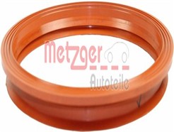 METZGER 2250207