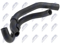 NTY CPP-WW-081