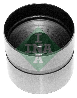 INA 420 0210 10 EAN: 4005108486158.