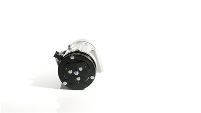 MAHLE ORIGINAL ACP 1331 000S Číslo výrobce: 351334551. EAN: 4057635038850.