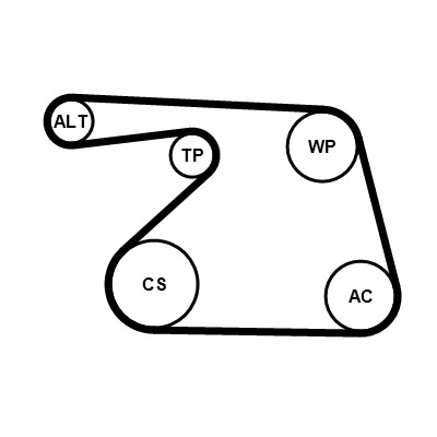 CONTITECH 6PK1325K1 Číslo výrobce: 6 PK 1325. EAN: 4010858981037.