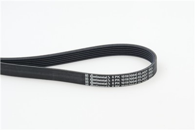 CONTITECH 6PK1019 ELAST Číslo výrobce: 6 PK 1004. EAN: 4010858507664.