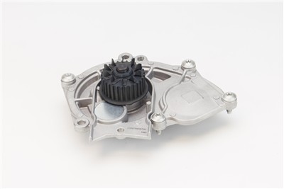 CONTITECH WP6122 EAN: 4010858311575.