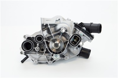 CONTITECH WP6146 EAN: 4010858979515.