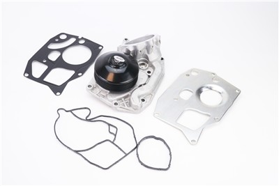 CONTITECH WPS3144 EAN: 4010858995997.