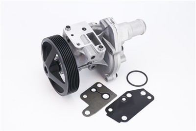 CONTITECH WPS3169 EAN: 4010858995829.
