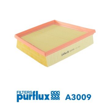PURFLUX A3009 EAN: 3286062030095.