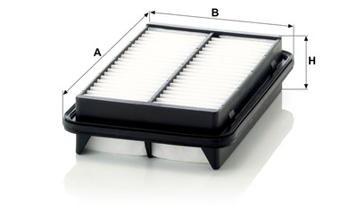 MANN-FILTER C 2432 EAN: 4011558029173.