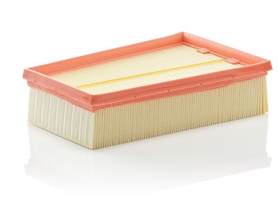 MANN-FILTER C 2433/2 EAN: 4011558385408.
