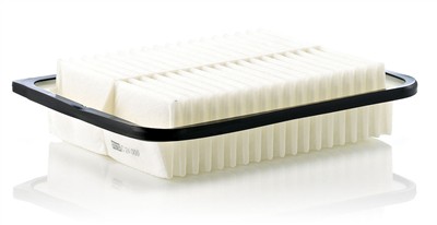 MANN-FILTER C 24 005 EAN: 4011558008918.
