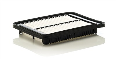 MANN-FILTER C 24 010 EAN: 4011558018320.