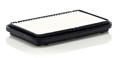 MANN-FILTER C 2622 EAN: 4011558381202.