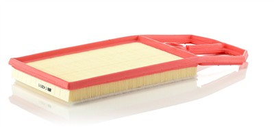 MANN-FILTER C 4287/1 EAN: 4011558201807.