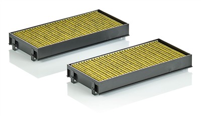 MANN-FILTER FP 2941-2 EAN: 4011558351670.