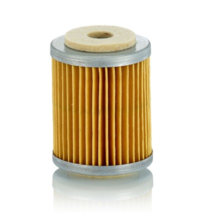 MANN-FILTER P 609 EAN: 4011558550301.
