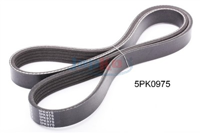 JAPKO 5PK975 Číslo výrobce: 5PK975. EAN: 8033001527506.