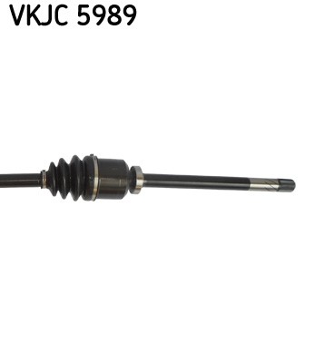 SKF VKJC 5989 EAN: 7316577877635.
