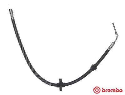BREMBO T 61 059 EAN: 8432509628027.