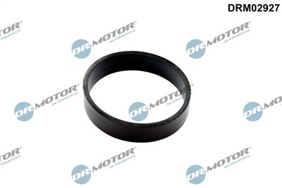 Dr.Motor Automotive DRM02927 EAN: 5904639646514.