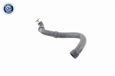 VAICO V30-1661 EAN: 4046001557910.