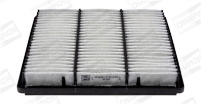 CHAMPION CAF100675P Číslo výrobce: CAF100675P. EAN: 4044197758210.