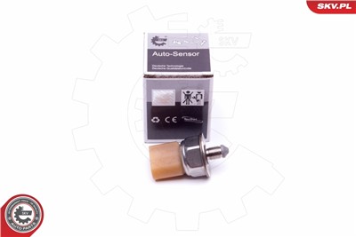 ESEN SKV 17SKV581 EAN: 5903968417369.