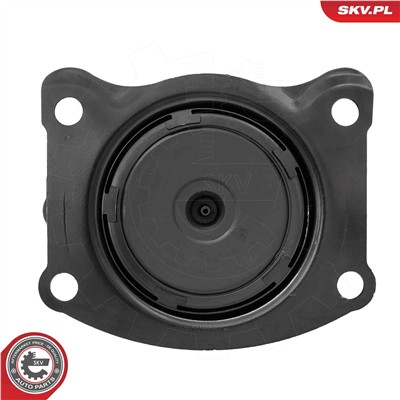 ESEN SKV 75SKV319 EAN: 5906302244416.