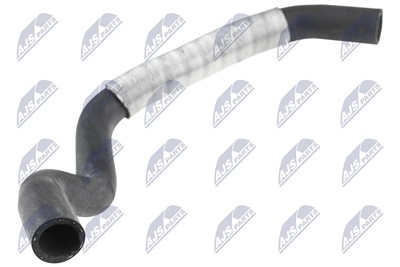 NTY CPP-PE-019