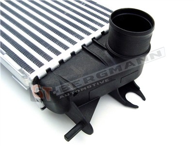 GT BERGMANN GT12-011 EAN: 5907764509242.