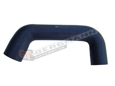 GT BERGMANN GT52-111 EAN: 5907764511337.