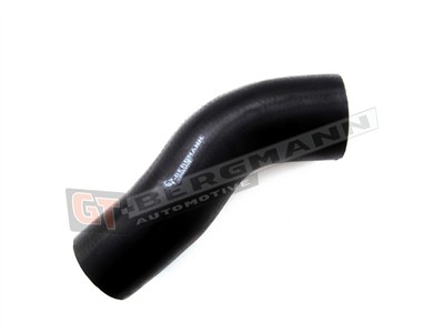 GT BERGMANN GT52-159 EAN: 5907764514000.