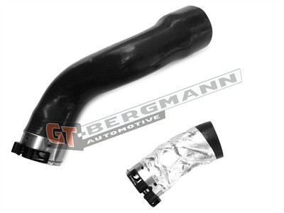 GT BERGMANN GT52-243 EAN: 5907764517452.