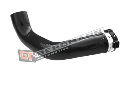 GT BERGMANN GT52-357 EAN: 5907764519562.