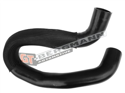 GT BERGMANN GT52-431 EAN: 5907764523736.